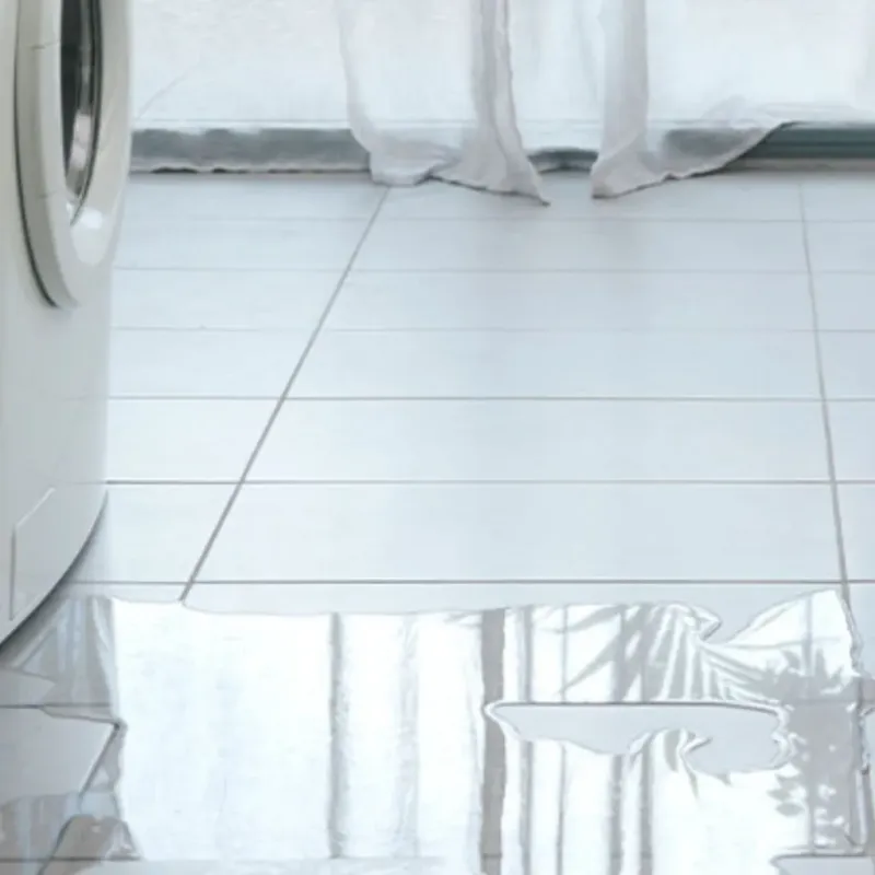 Appliance Leak Cleanup in Homer, MI
