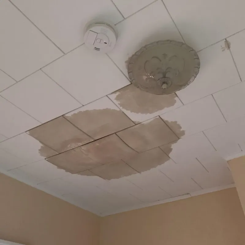 Ceiling Water Damage Repair in Homer, MI