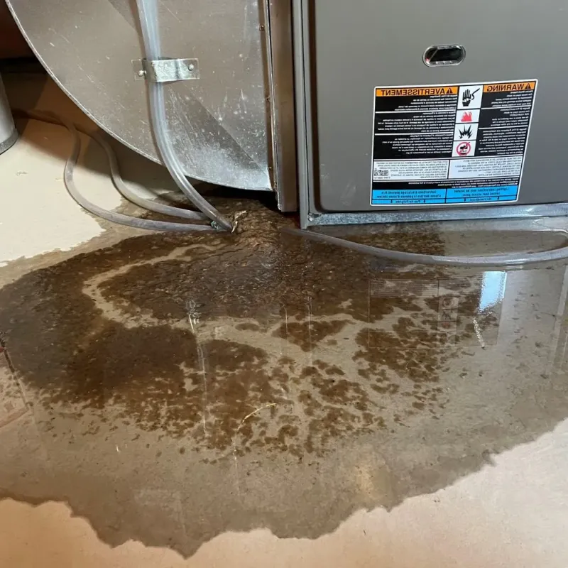 Pipe Burst and Leak Restoration in Homer, MI