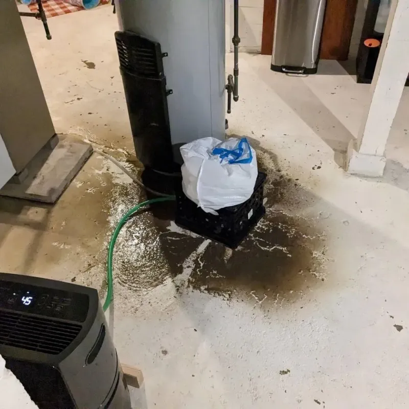 Sewage Backup Cleanup Service in Homer, MI